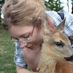 Fenyvesi - pet sitter cats dogs Székesfehérvár