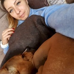 Viktoria.l - pet sitter cats dogs Debrecen