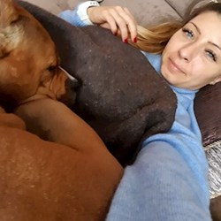 Viktoria.l - pet sitter cats dogs Debrecen