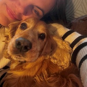 petsitter Budapest or Pet nanny for Dogs