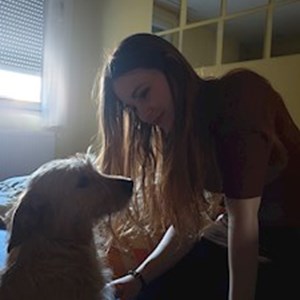 petsitter Budapest vagy Állat szitter a Kutyák