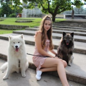 petsitter Budapest vagy Állat szitter a Kutyák Cicák 