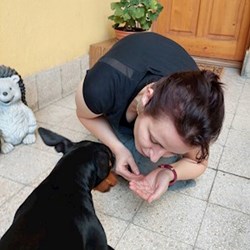 Rita - pet sitter cicák kutyák Budapest