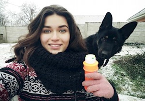 Kutyasétáltatót keres Kutyasétáltatót keres