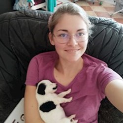 Hebők - pet sitter cats dogs Üröm