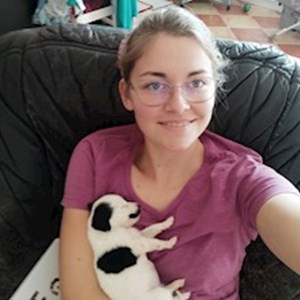 petsitter Üröm vagy Állat szitter a Kutyák Cicák