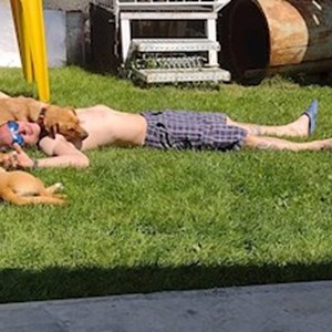 petsitter Budapest vagy Állat szitter a Kutyák Cicák