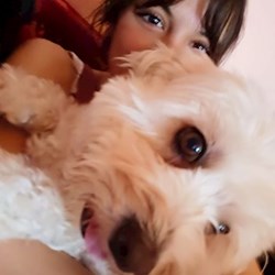 Erdei - pet sitter Budapest