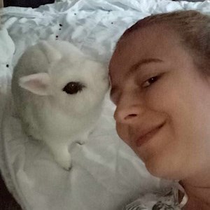 petsitter Budapest or Pet nanny for Dogs