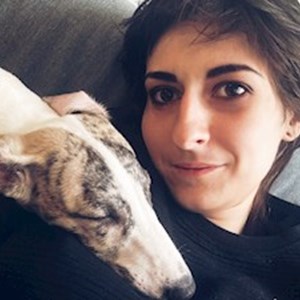 petsitter Budapest or Pet nanny for Dogs 