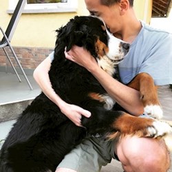 Kolos - pet sitter cats dogs Budapest