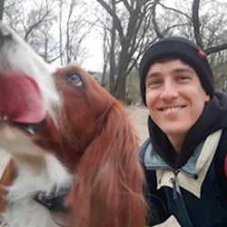 Szabó - pet sitter cats dogs Budapest