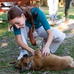 Králik - pet sitter dogs Budapest