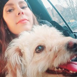 Kiss - pet sitter cats dogs Budapest