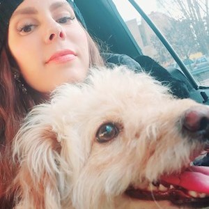 petsitter Budapest or Pet nanny for Dogs Cats