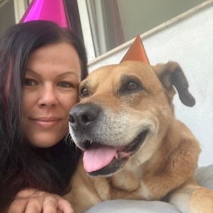 petsitter Budapest vagy Állat szitter a Kutyák