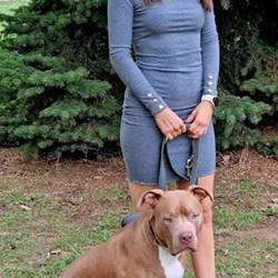 Szilvia - pet sitter cicák kutyák Debrecen