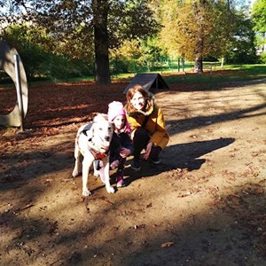 Boarding dog in Budapest pet sitting request