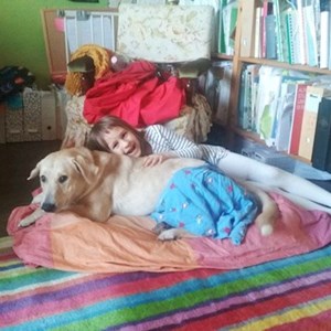 Szállás kutya -ban Budapest kisállatszitting kérés